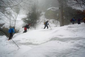 Schneeschuhtour Bayer. Wald